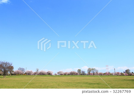 Cherry blossoms and blue sky Komatsu River Senbonzakura Cherry blossoms and blue sky Komatsu River Senbonzakura 32267769