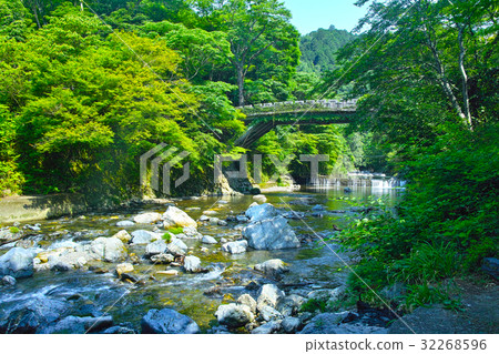 京都清瀧的小森藍Momiji和Kanazubashi 32268596