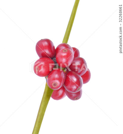 Coffee beans on a white background 32268661