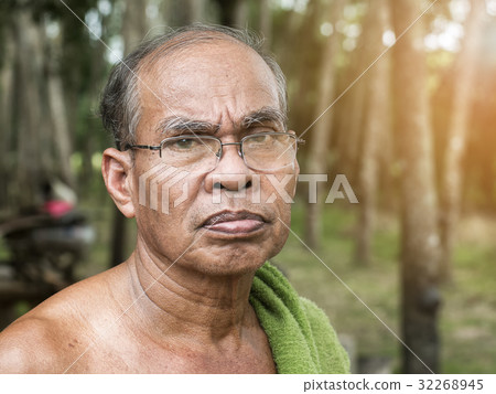 Old thai gardener man in rubber tree garden Old thai gardener man in rubber tree garden 32268945