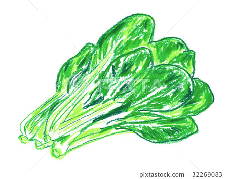 日本芥末菠菜 32269083