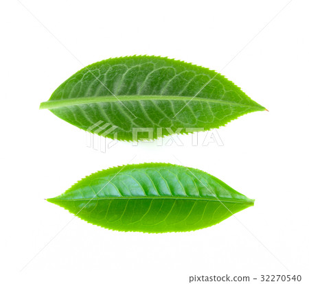 green tea leaf on white background green tea leaf on white background 32270540