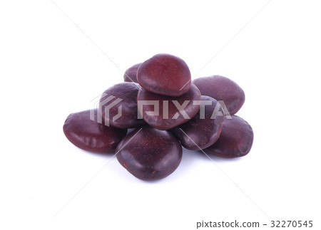 Entada rheedii Entada rheedii 32270545