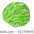 捲心菜 32270905