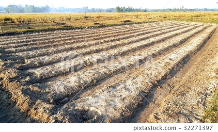Furrows row pattern of plowed agricultural fields Furrows row pattern of plowed agricultural fields 32271397