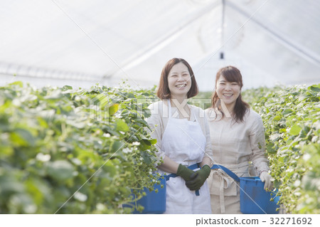 Ichigo farmer Ichigo farmer 32271692