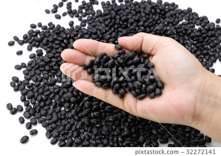 Black bean (cowpea) in Okinawa Miyakojima 32272141