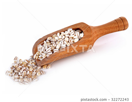 Barley Grains in scoop on White Background Barley Grains in scoop on White Background 32272243