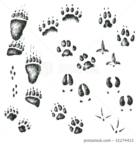 Vector set of walking wild wood animal and bird Vector set of walking wild wood animal and bird 32274422