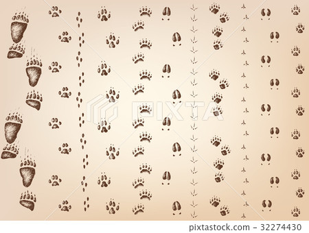 Vector set of walking wild wood animal and bird Vector set of walking wild wood animal and bird 32274430
