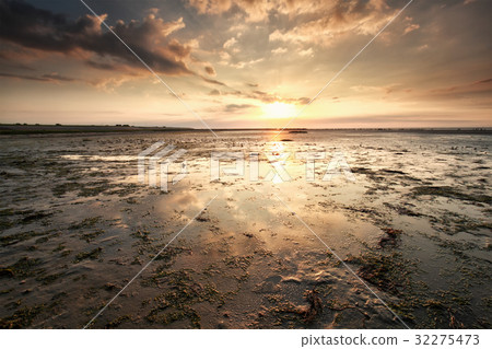 sunset over Wadden sea coast sunset over Wadden sea coast 32275473