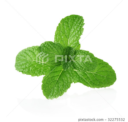 Mint leaves isolated on white background Mint leaves isolated on white background 32275532