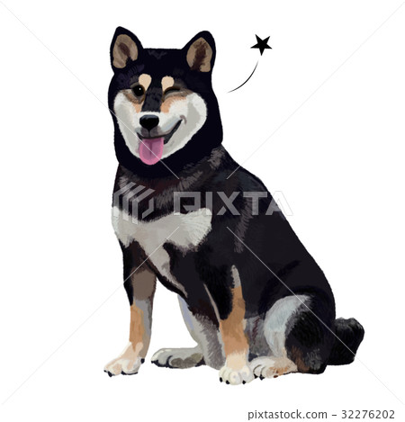 Dog dog Kuroshiba sitting wink 32276202