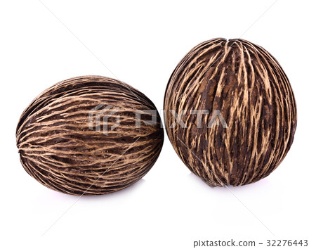 Suicide tree isolated on white background 32276443