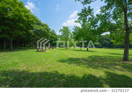 北總花山公園草坪廣場 32278137