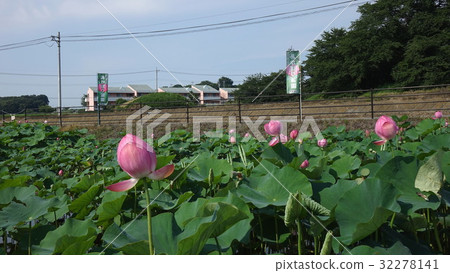 Tenten Castle Ruin Akorori Lotusen 32278141