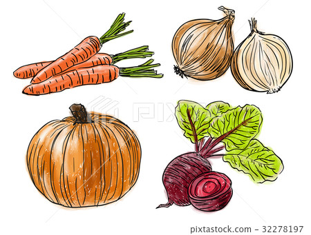 Types of fresh vegetables Types of fresh vegetables 32278197