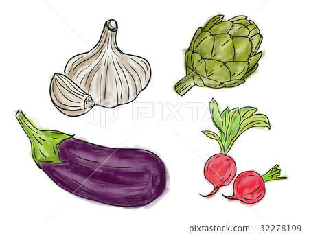 Types of fresh vegetables 32278199
