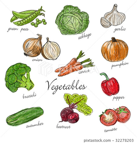 Types of fresh vegetables with description Types of fresh vegetables with description 32278203