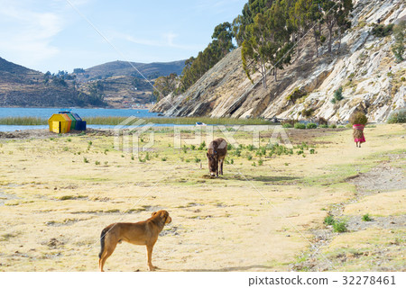 Island of the Sun, Titicaca Lake, Bolivia 32278461