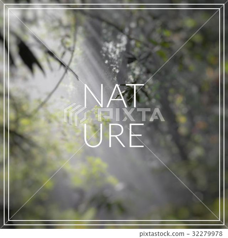 Nature. Sunlight rays pour through leaves 32279978