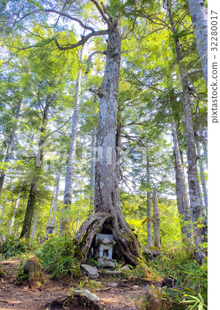 樹襠石頭寺廟 樹襠石頭寺廟 32280017
