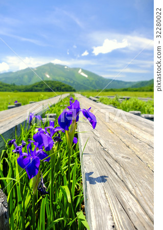 杜鵑花和佛山（垂直） 32280022