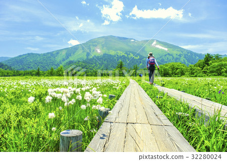 Watassege和佛山 Watassege和佛山 32280024