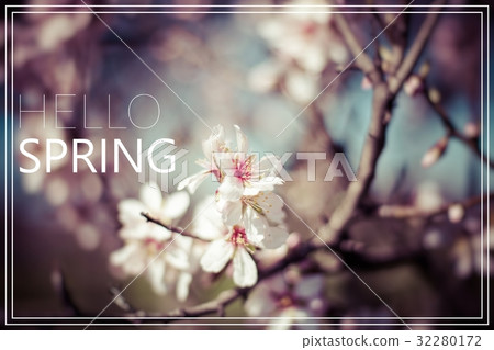 Word Hello Spring. Flowers of the cherry blossoms Word Hello Spring. Flowers of the cherry blossoms 32280172