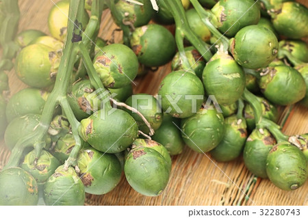 betel nut 32280743