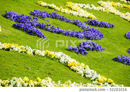blossom in gardent from austria blossom in gardent from austria 32281016