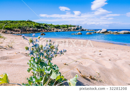 Empty beach with azure water on beautiful Sardinia 32281208