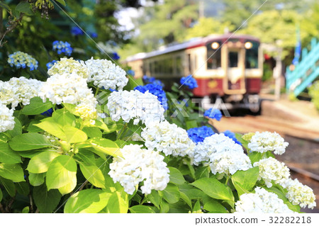 Watase ravine early summer railway 32282218