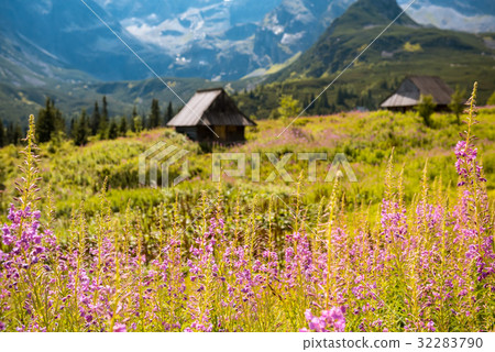 Hala Gasienicowa, Tatra mountains Zakopane Poland 32283790