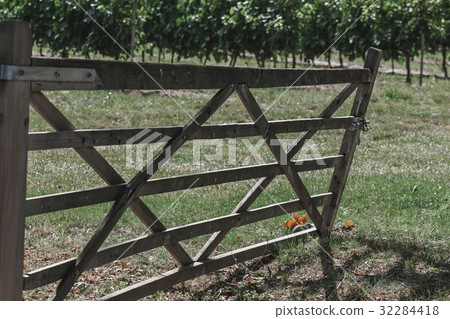 Old Wooden gate to a vineyard Old Wooden gate to a vineyard 32284418