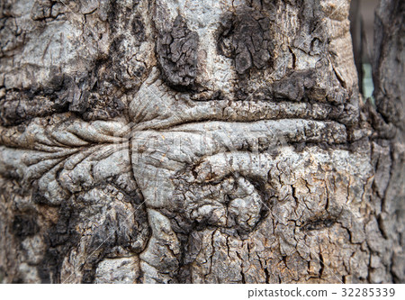 old wood skin natural old wood skin natural 32285339