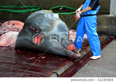 A whaling base in Wadoura. A whaling base in Wadoura. 32285669