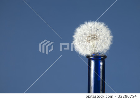Dandelion clock in a bottle neck 32286754