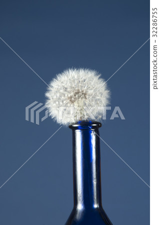 Dandelion clock in a bottle neck 32286755