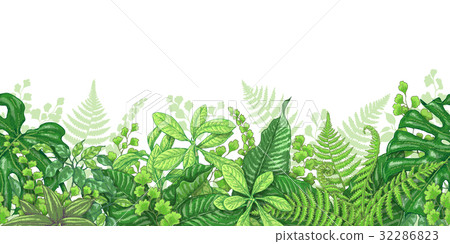 Tropical Plants Line Horizontal Border Tropical Plants Line Horizontal Border 32286823