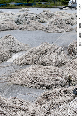 漁網 漁網 32288062