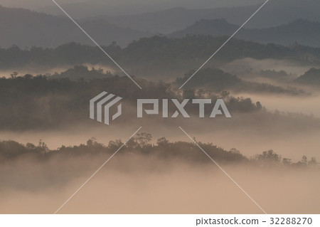 Forest landscape at foggy sunrise, Sabah, Malaysia 32288270