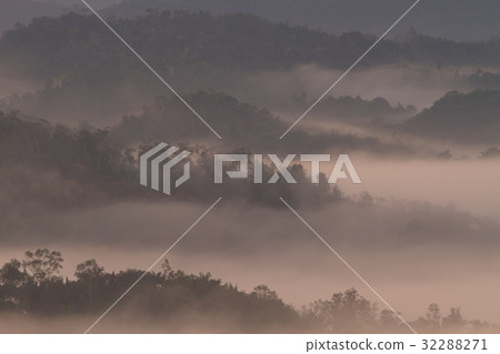 Forest landscape at foggy sunrise, Sabah, Malaysia 32288271