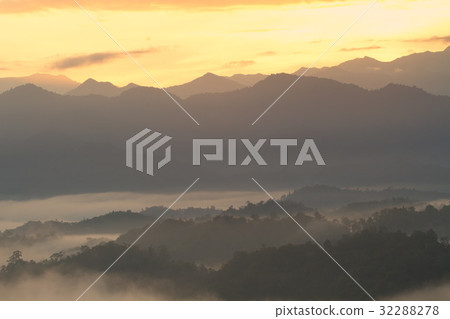 Forest landscape at foggy sunrise, Sabah, Malaysia 32288278