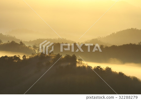 Forest landscape at foggy sunrise, Sabah, Malaysia 32288279