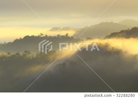 Forest landscape at foggy sunrise, Sabah, Malaysia 32288280