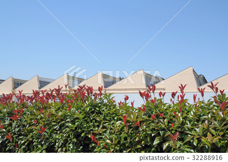 Factory roof Factory roof 32288916