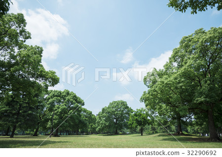 A park filled with greenery A park filled with greenery 32290692