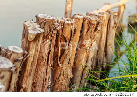 Row of timber in the edge of lagoon 32292187