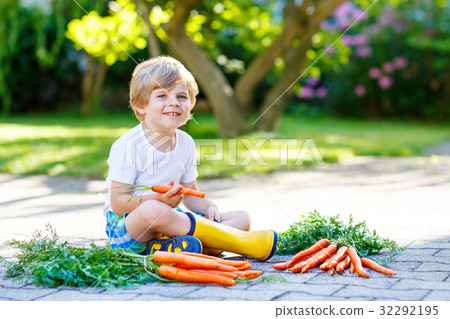 Funny little kid boy with carrots in domestic Funny little kid boy with carrots in domestic 32292195